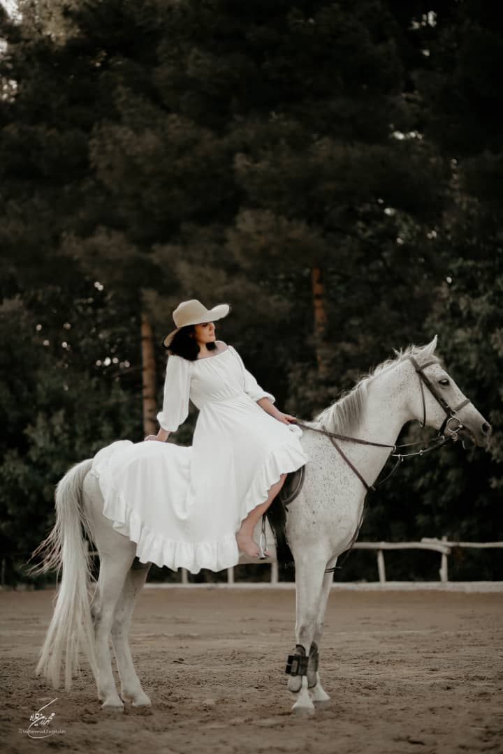 کارگاه عکاسی از اسب