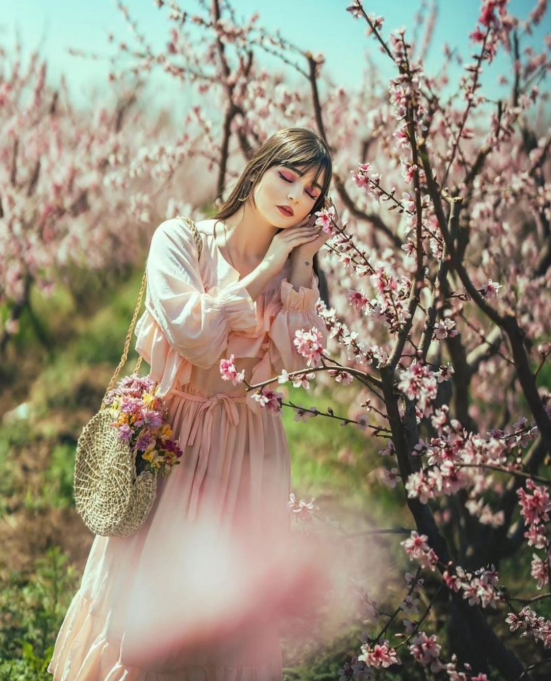 تور عکاسی شکوفه بهاری